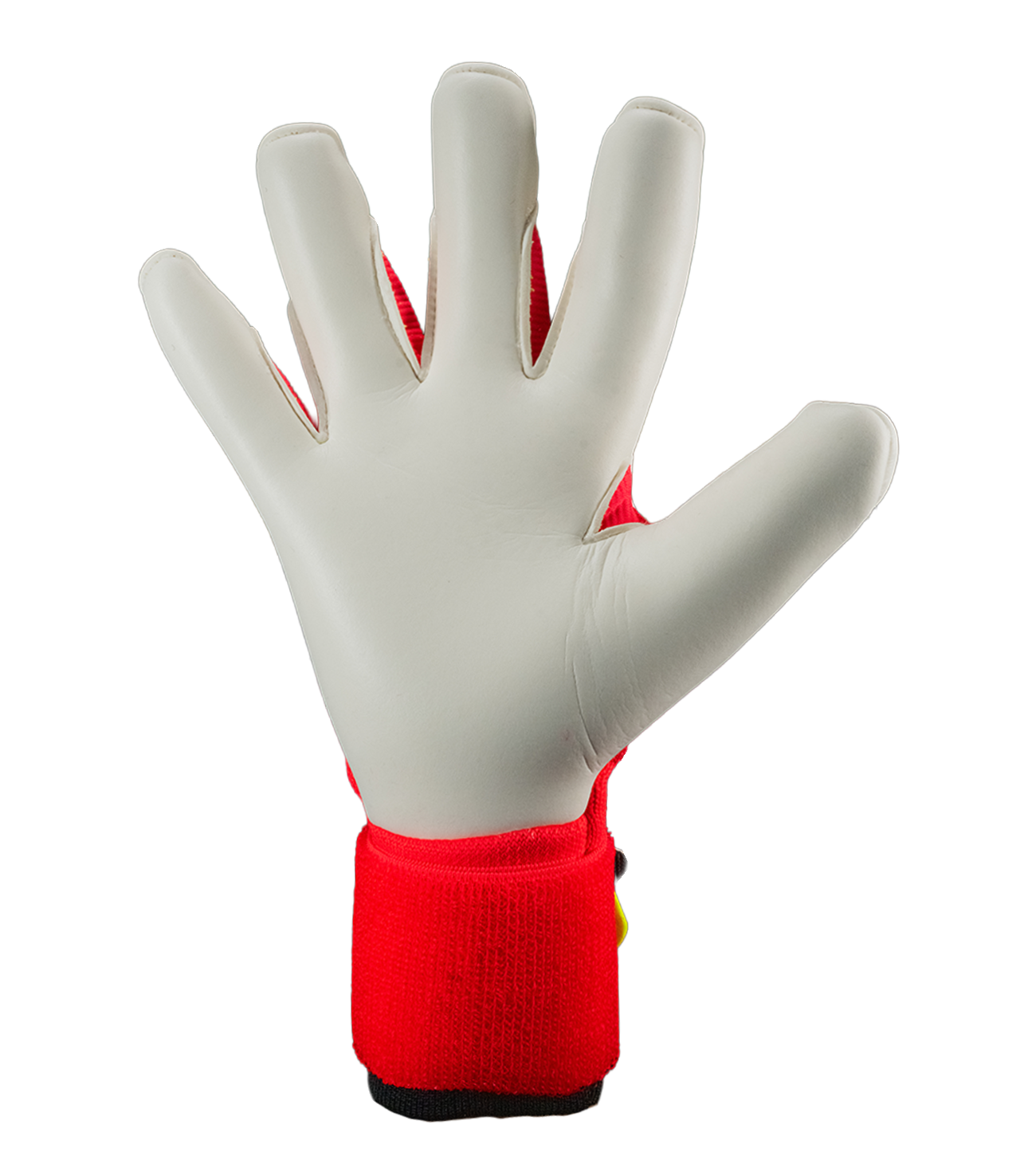 Palma profesional con tecnología URG 2.0+ Latex.
Características técnicas:
Látex de alto rendimiento orientado a competición.
Aproximadamente 4 mm de látex activo + espuma interna amortiguadora.
Excelente adherencia en condiciones secas y húmedas.
Alta absorción de impacto en disparos potentes.
Superficie optimizada para blocajes seguros.
Sensación suave con contacto directo balón-mano.
Balance entre agarre máximo y desgaste controlado.
Comportamiento:
Respuesta inmediata en recepciones, blocajes y acciones