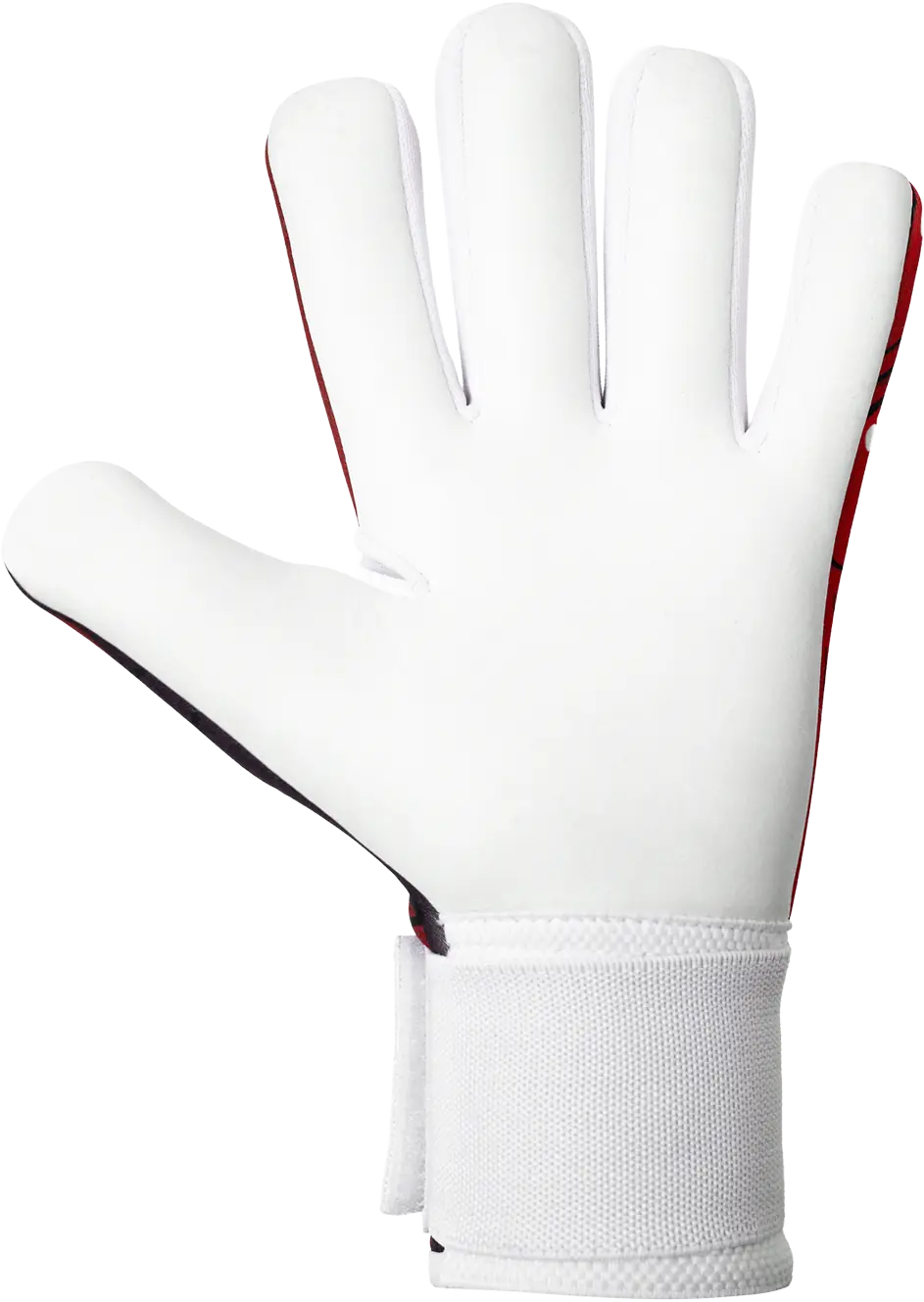 Guantes de Portero Elite KR // PREVENTA