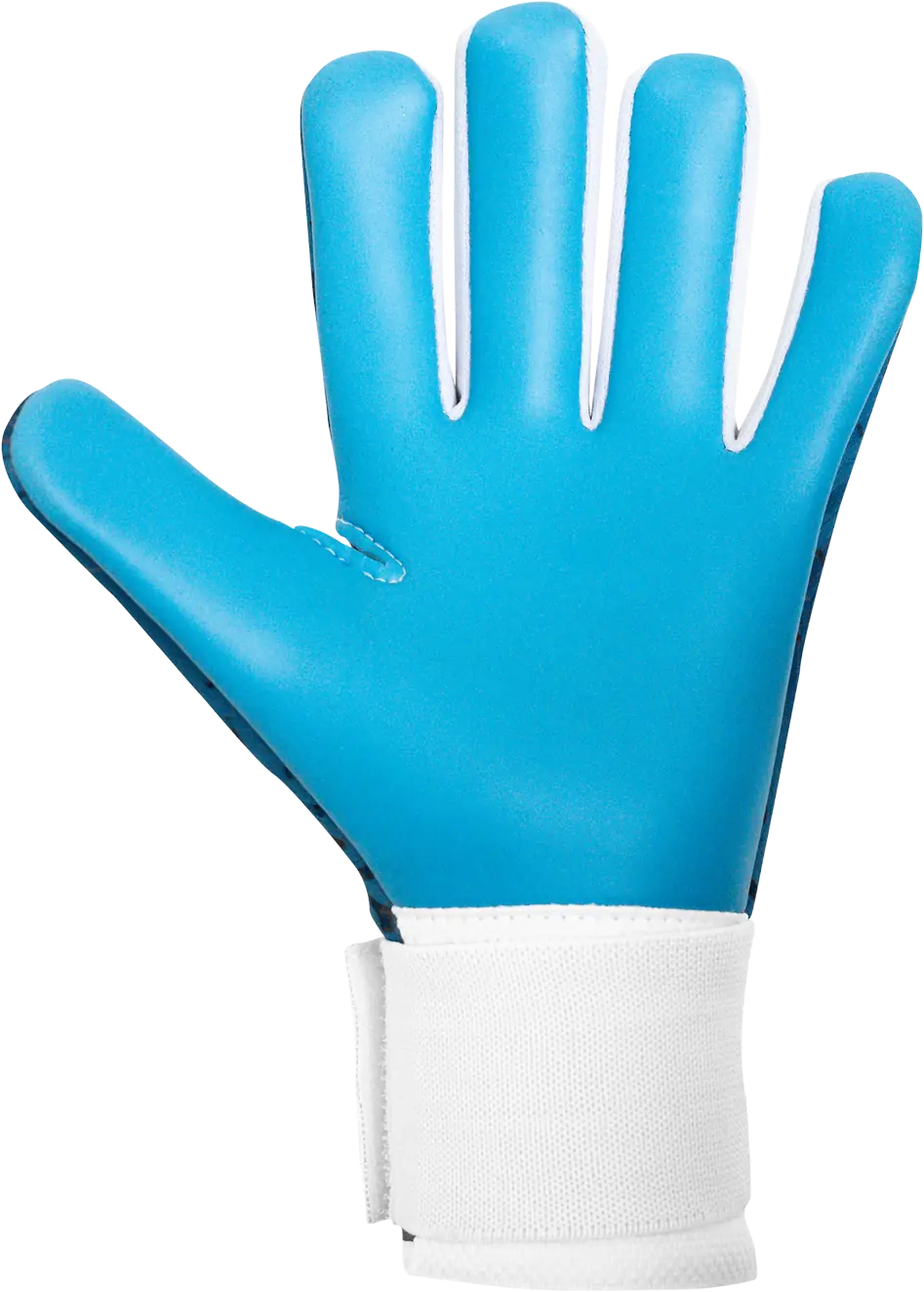 Guantes de portero Elite Vortex azul/blanco — palma | UnoKeeper