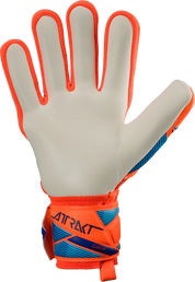 Guantes De Portero Reusch World Cup Attrakt Grip