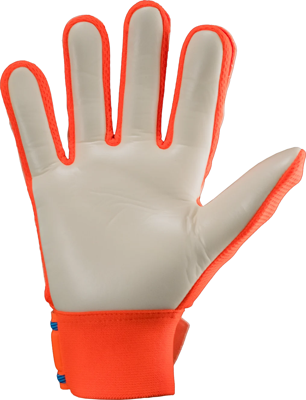 Guantes de Portero Reusch World Cup Junior Attrakt Starter Solid — foto 3