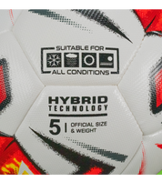 Balon Nebus Hybrid Rinat