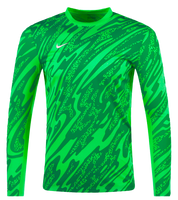 Jersey Nike Gardien V Verde