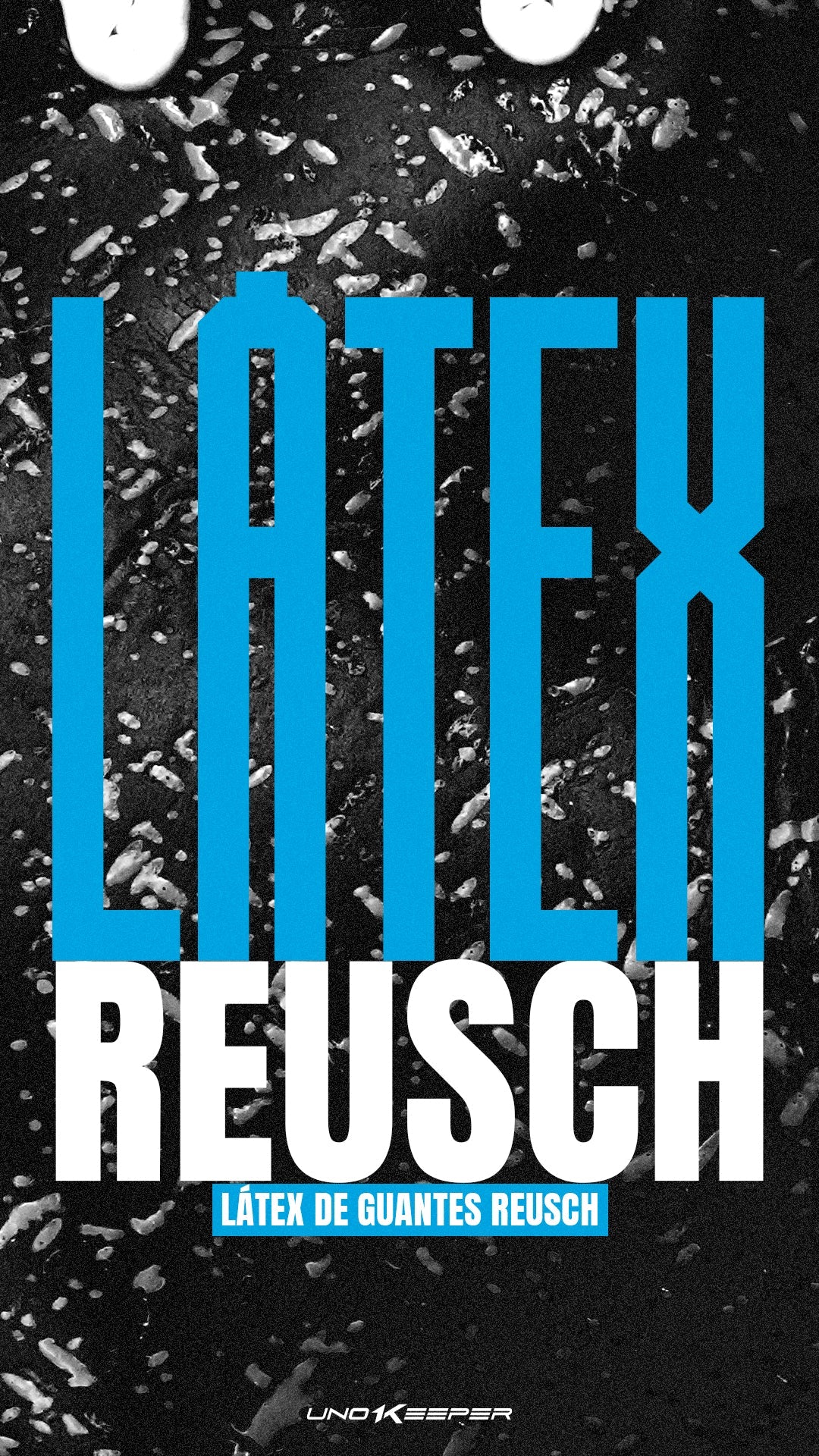 PORTADA_BLOG_REUSCH_LATEX_copia.jpg
