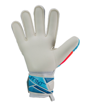 Reusch Attrakt Advance