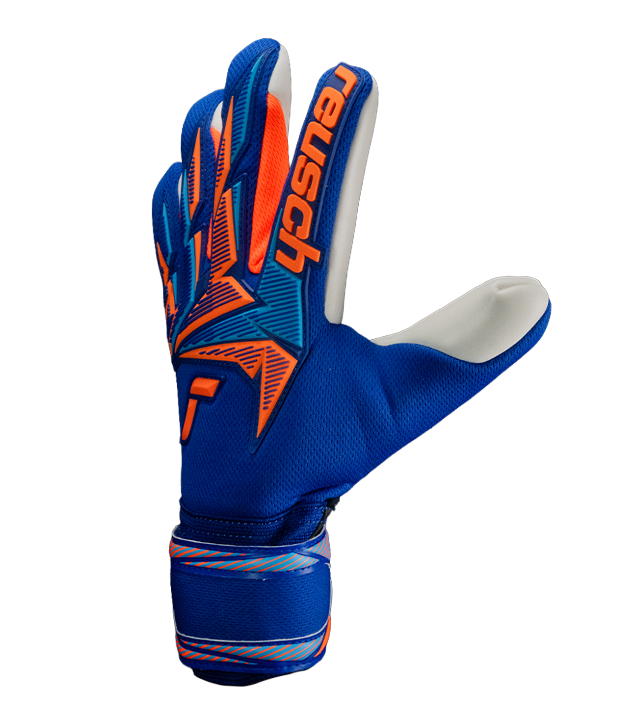 Reusch Attrakt Freegel Advance