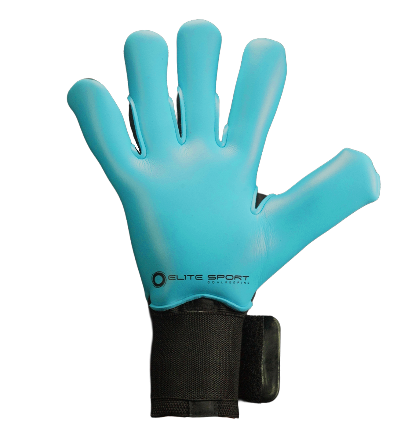 Revolution_x_combi_aqua_palma.png