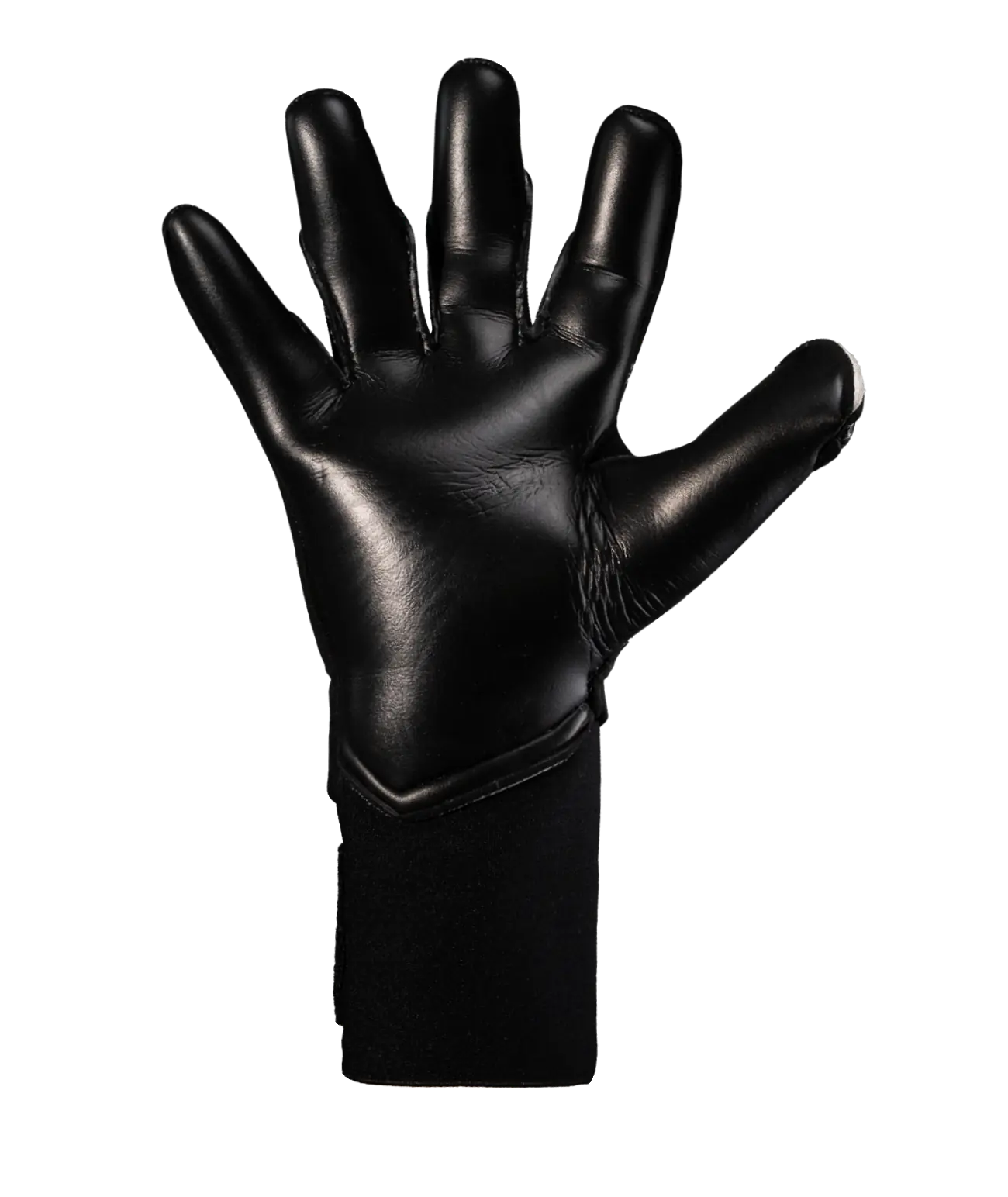 Titan Beast 4.0 Vampire Black