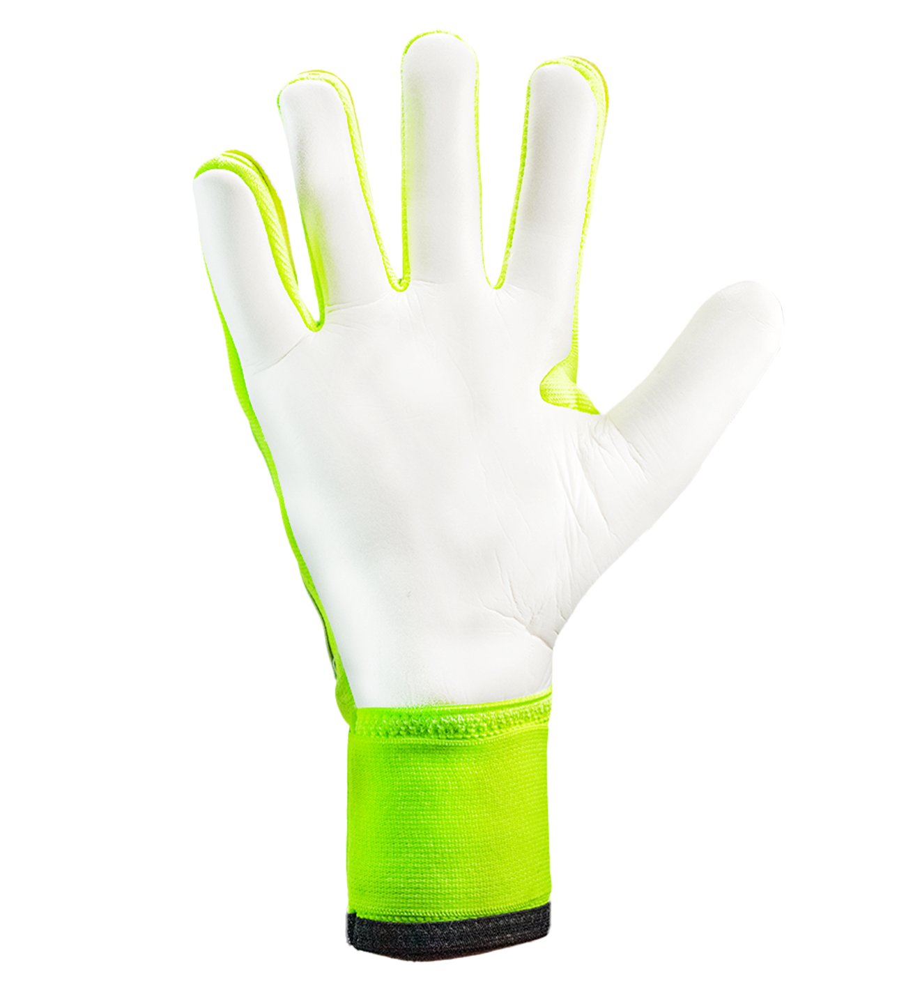 adidas_copa_palma.png