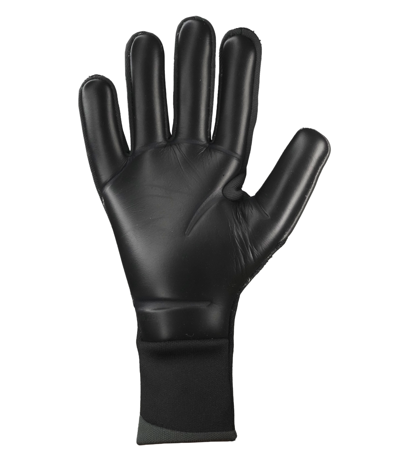 Guantes de portero de futbol Adidas Predator GL Pro Solar2