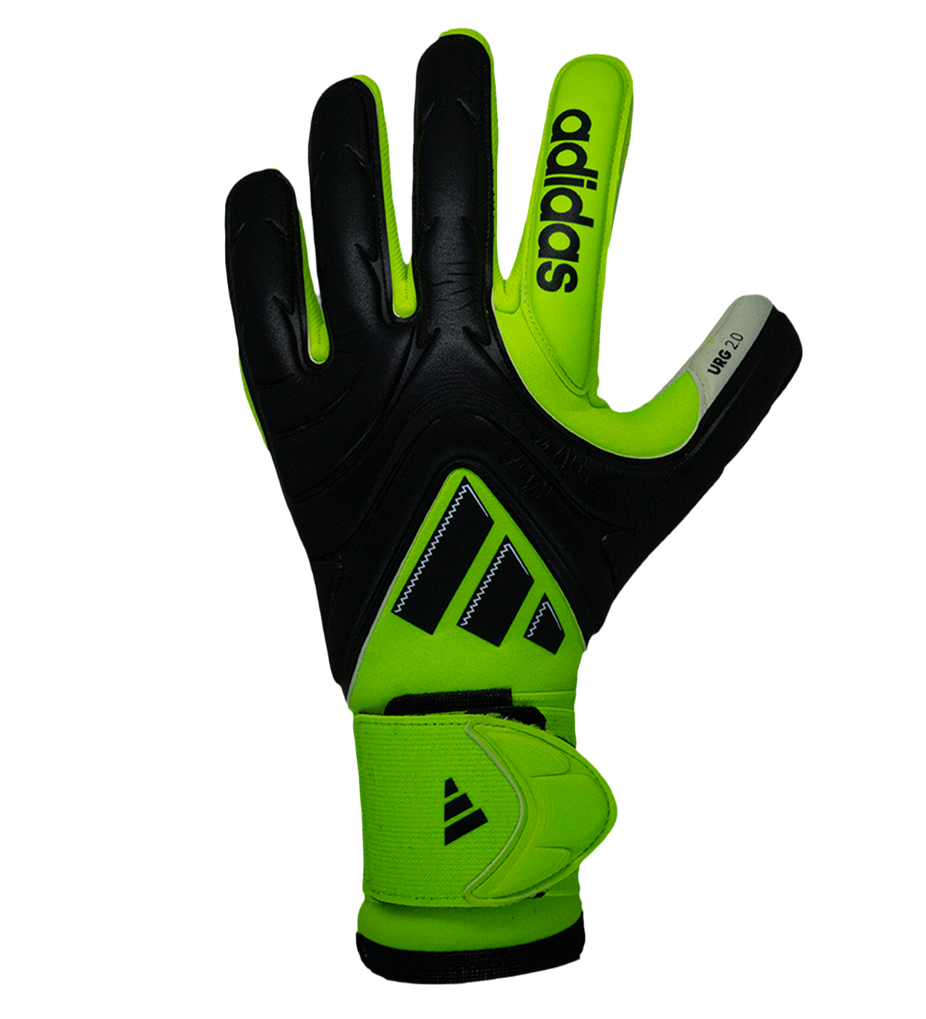 copa_verde_pro_dorso.png