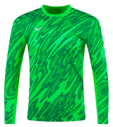 Jersey Nike Gardien V Verde