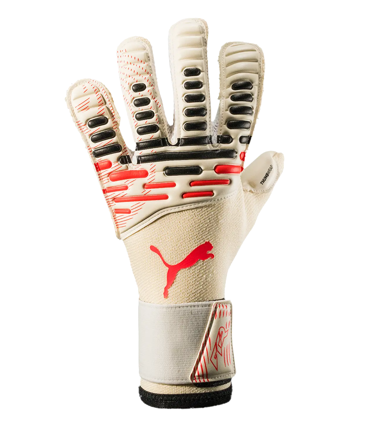 Guantes de Portero Puma Future Pro Hybrid