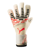 Guantes de Portero Puma Future Pro Hybrid