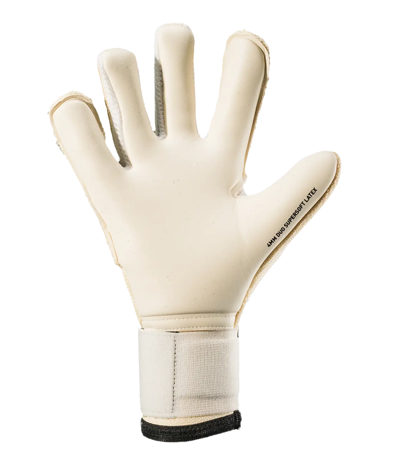 Guantes de Portero Puma Future Pro Hybrid