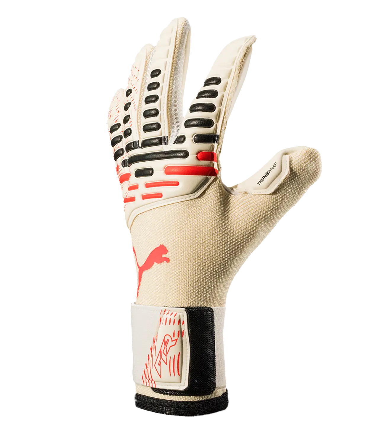 Guantes de Portero Puma Future Pro Hybrid