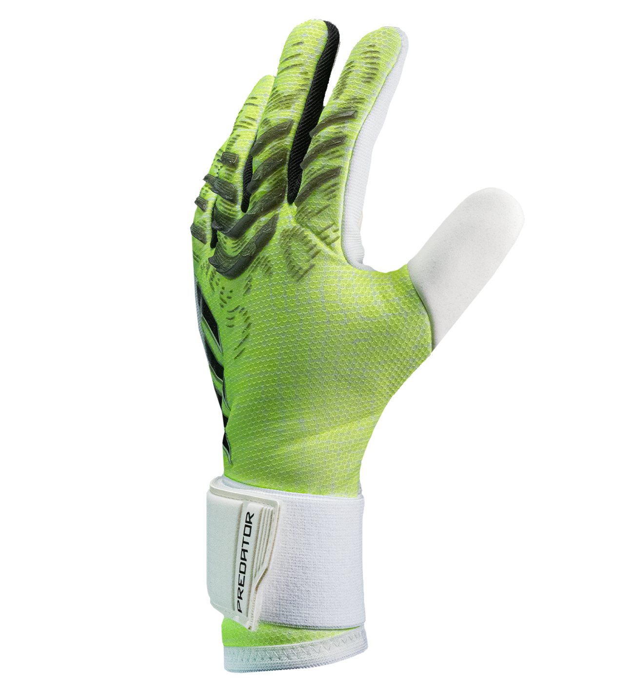 predator_verde_3-4.png