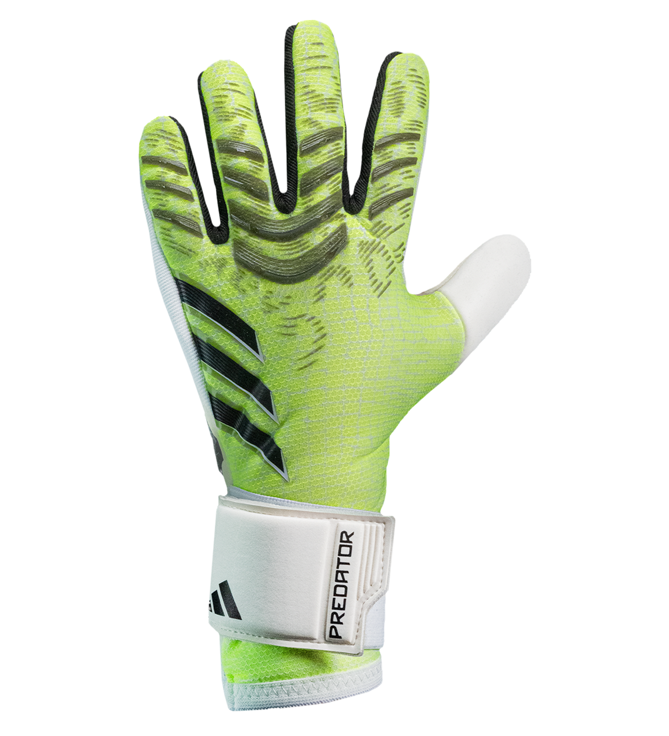 predator_verde_dorso.png
